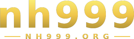 nh999 logo